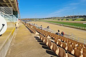 Great Racecourse Andalusia - Javier Piñar Haffner image