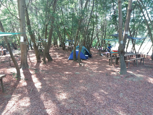 Camping La Doña - Mulchén