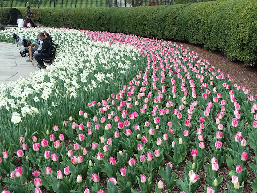 Garden «Conservatory Garden», reviews and photos, 402 5th Ave, New York, NY 10029, USA