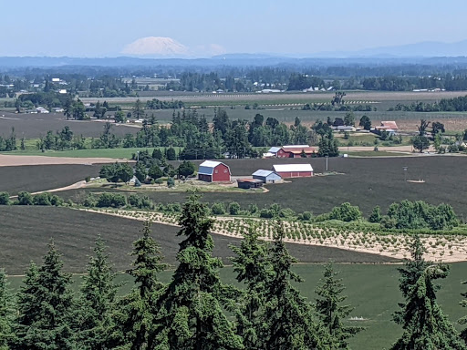 Book Store «Mount Angel Abbey Bookstore», reviews and photos, 1 Abbey Dr, St Benedict, OR 97373, USA