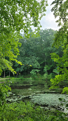 Nature Preserve «Wolf Rock Nature Preserve», reviews and photos, 251 Clover Mill Rd, Storrs, CT 06268, USA