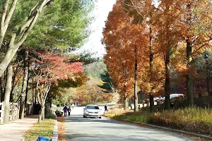 Sajeong-gol Botanical garden image