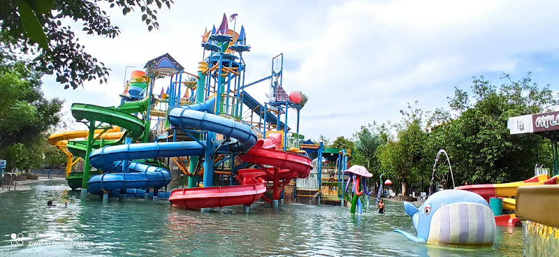 10+ Kolam Renang Umum di Jawa Timur: Tempat Seru untuk Berenang dan Bersantai