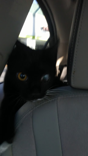 Grocery Store «Winn-Dixie», reviews and photos, 14134 US-19 #710, Hudson, FL 34667, USA