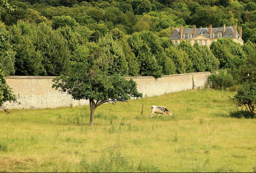Photo n° 1 de l'avis de Catherine.e fait le 21/07/2018 à 19:15