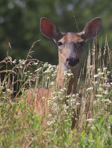 Boat Storage Facility «Self StorageOne ~ Perry Hall», reviews and photos, 7750 Rossville Blvd, Baltimore, MD 21236, USA