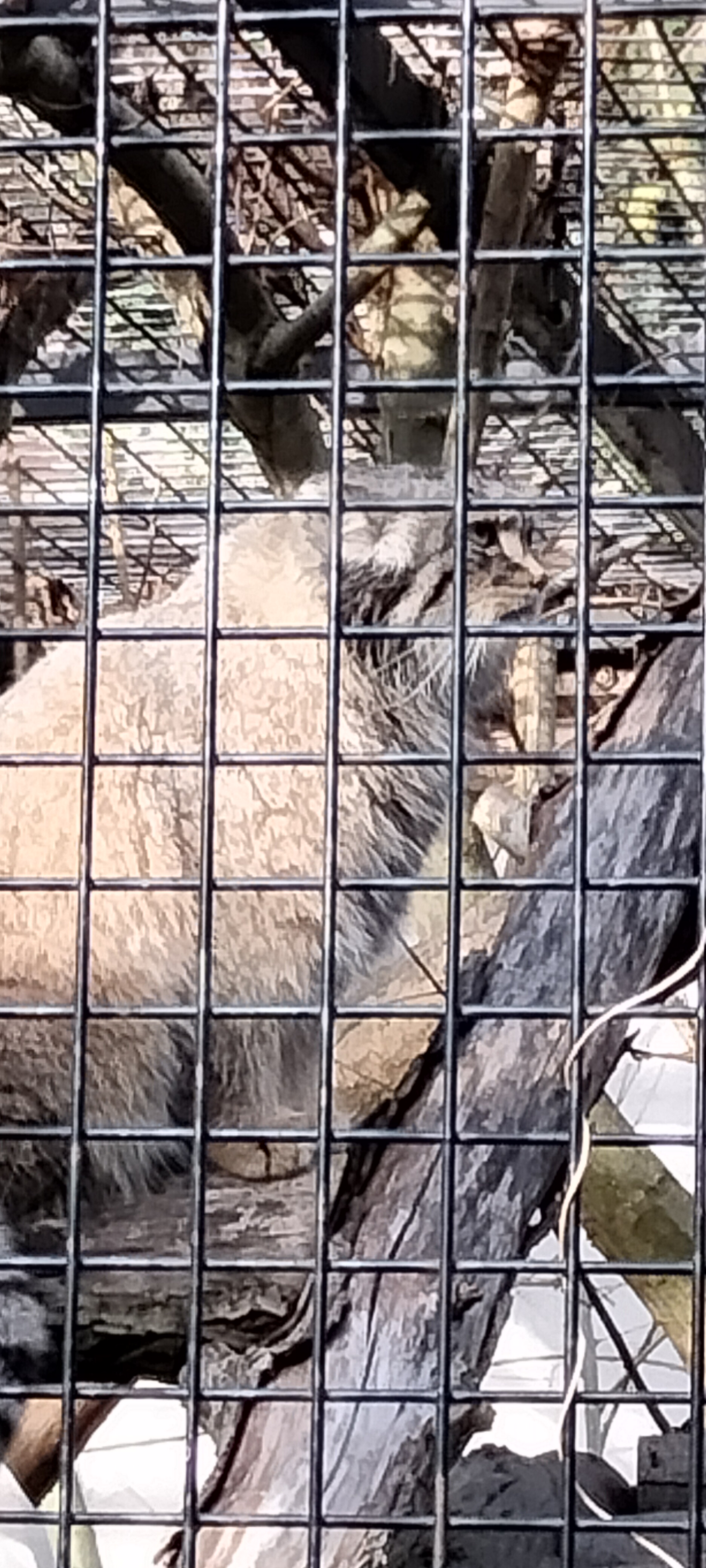 Photo n° 8 de l'avis de Sylvie.U fait le 07/11/2022 à 08:33