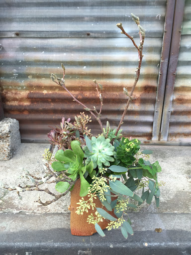 Florist «Leonora Moss», reviews and photos, 9 Kersting Ct, Sierra Madre, CA 91024, USA