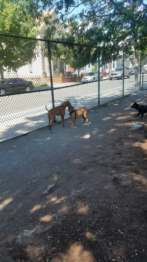 Park «Nunziato Field Dog Park», reviews and photos, Putnam St, Somerville, MA 02143, USA