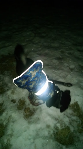 Park «Benedict Fountain Park», reviews and photos, 401 E 20th Ave, Denver, CO 80205, USA