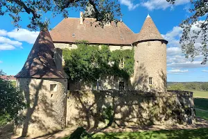 Château de Beauvoir image