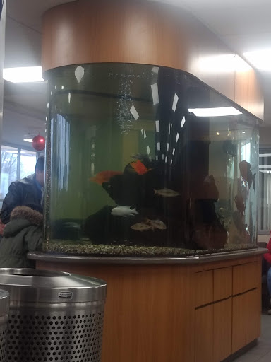 Toyota Dealer «Maplewood Toyota», reviews and photos, 2873 Maplewood Dr, Maplewood, MN 55109, USA