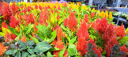 Discount Store «Walmart», reviews and photos, County Rd 513, Clinton, NJ 08809, USA