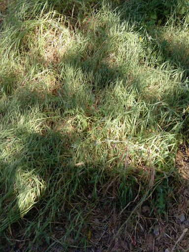Heintz Open Space image