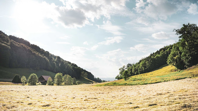 swiss-premium-wagyu.ch