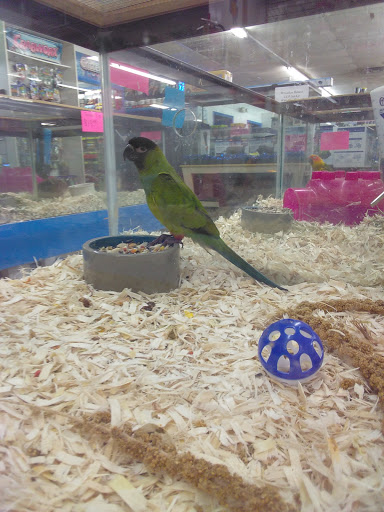 Pet Store «Pet World - Auburndale», reviews and photos, 3637 Havendale Blvd, Auburndale, FL 33823, USA