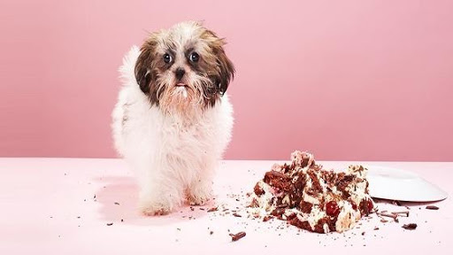 612 Pleasant St, Paxton, MA 01612, USA