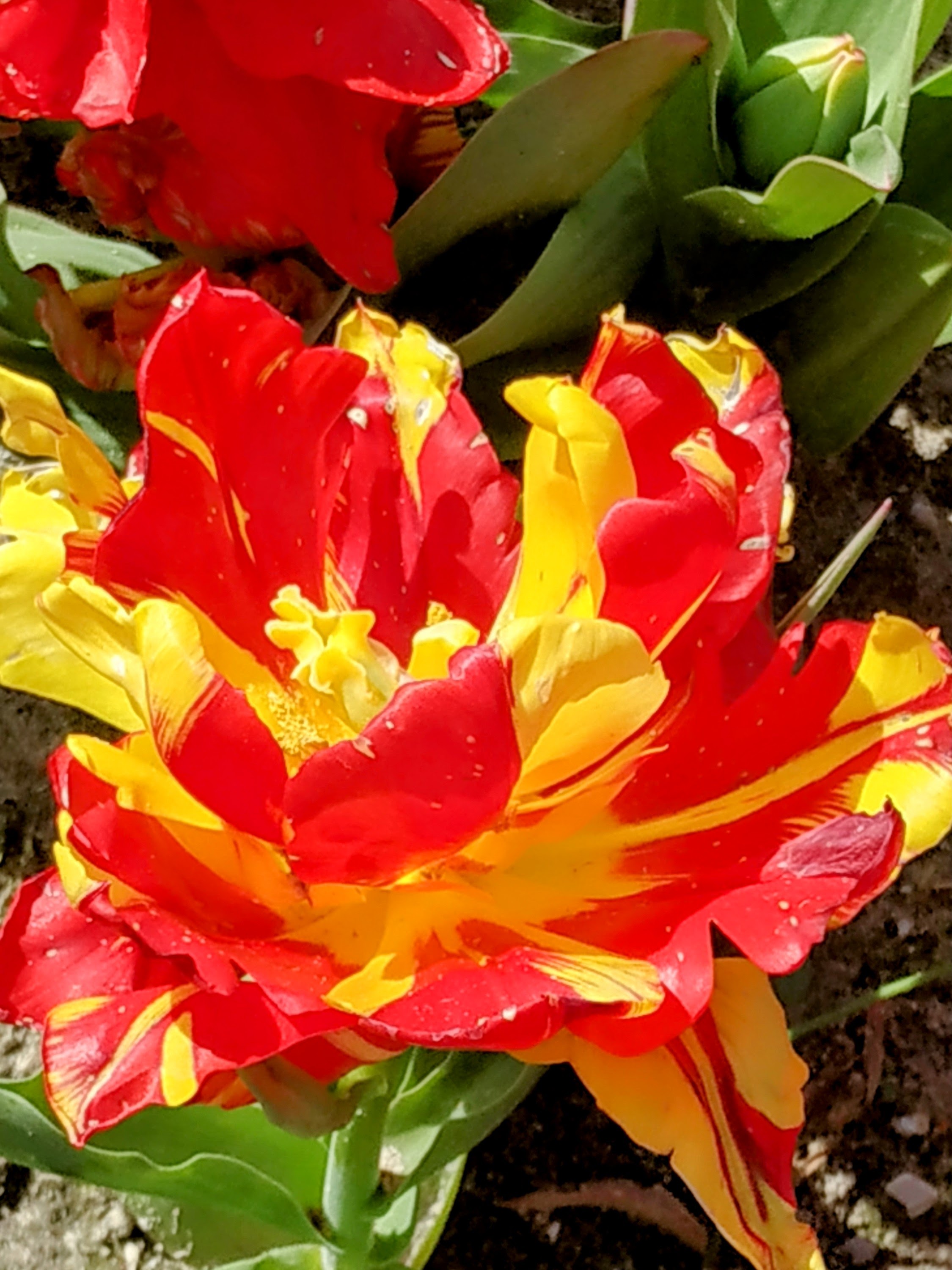 Photo n° 18 de l'avis de The.a fait le 05/04/2023 à 21:57