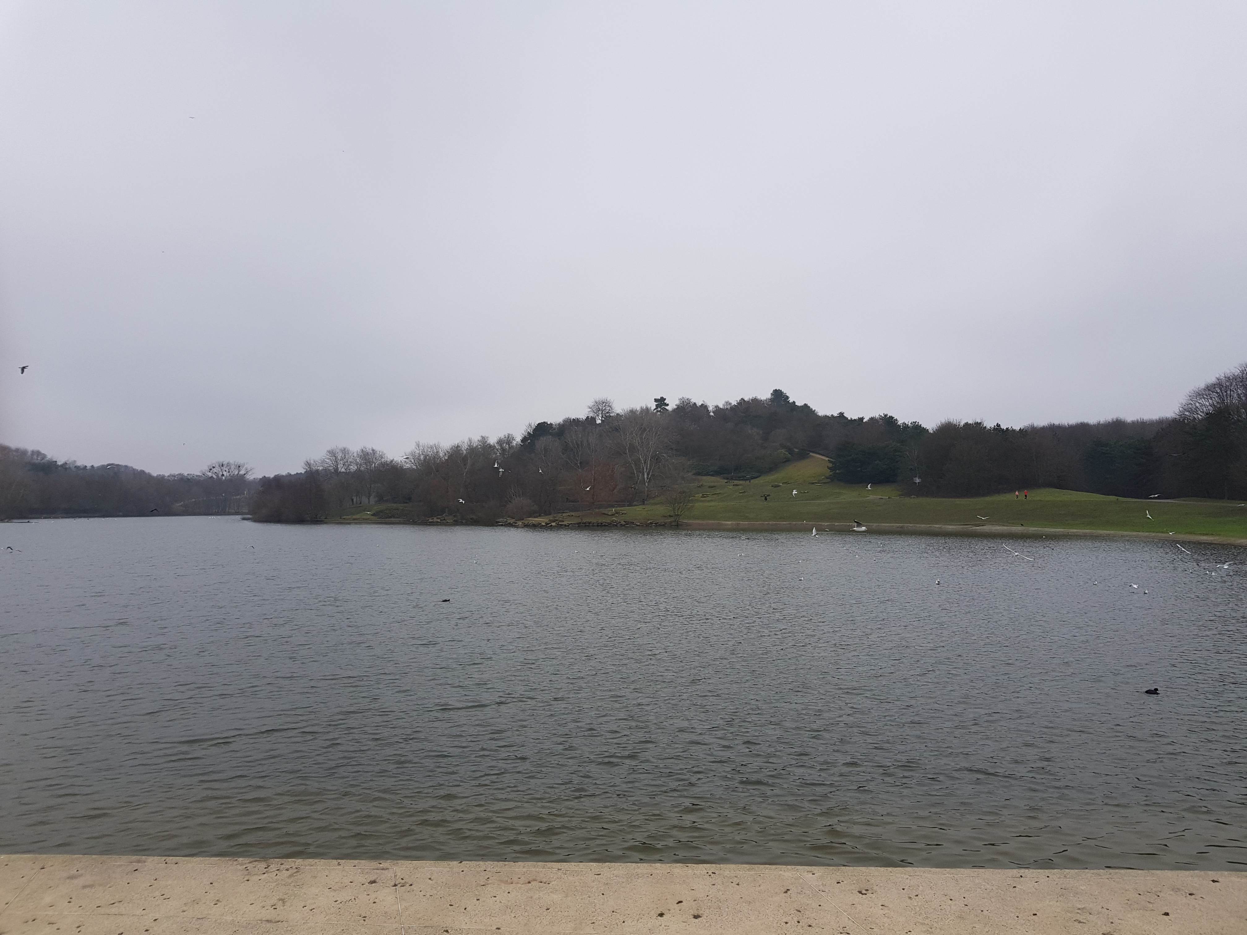 Photo n° 9 de l'avis de MICHELSON. fait le 20/01/2019 à 13:37