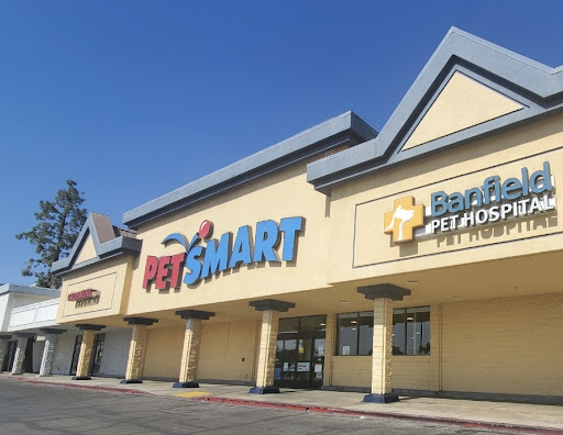 Pet Supply Store «PetSmart», reviews and photos, 4100 Ming Ave, Bakersfield, CA 93309, USA