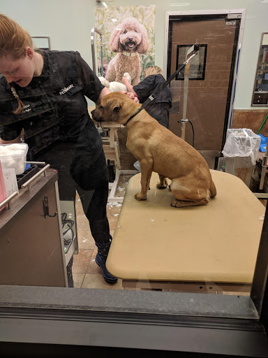 Pet Supply Store «PetSmart», reviews and photos, 8105 Moores Ln Ste 1300, Brentwood, TN 37027, USA