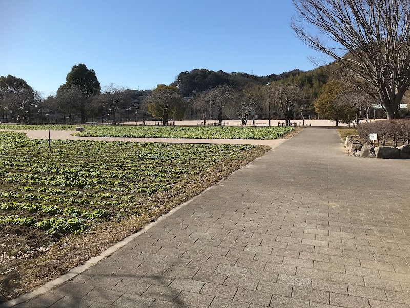 下松スポーツ公園 山口県下松市河内 公園 公園 グルコミ