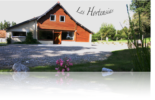 Lodge Gîte les Hortensias: Gîte 14 personnes ( Pas de Calais, Baie de Somme, Le touquet) Saulchoy