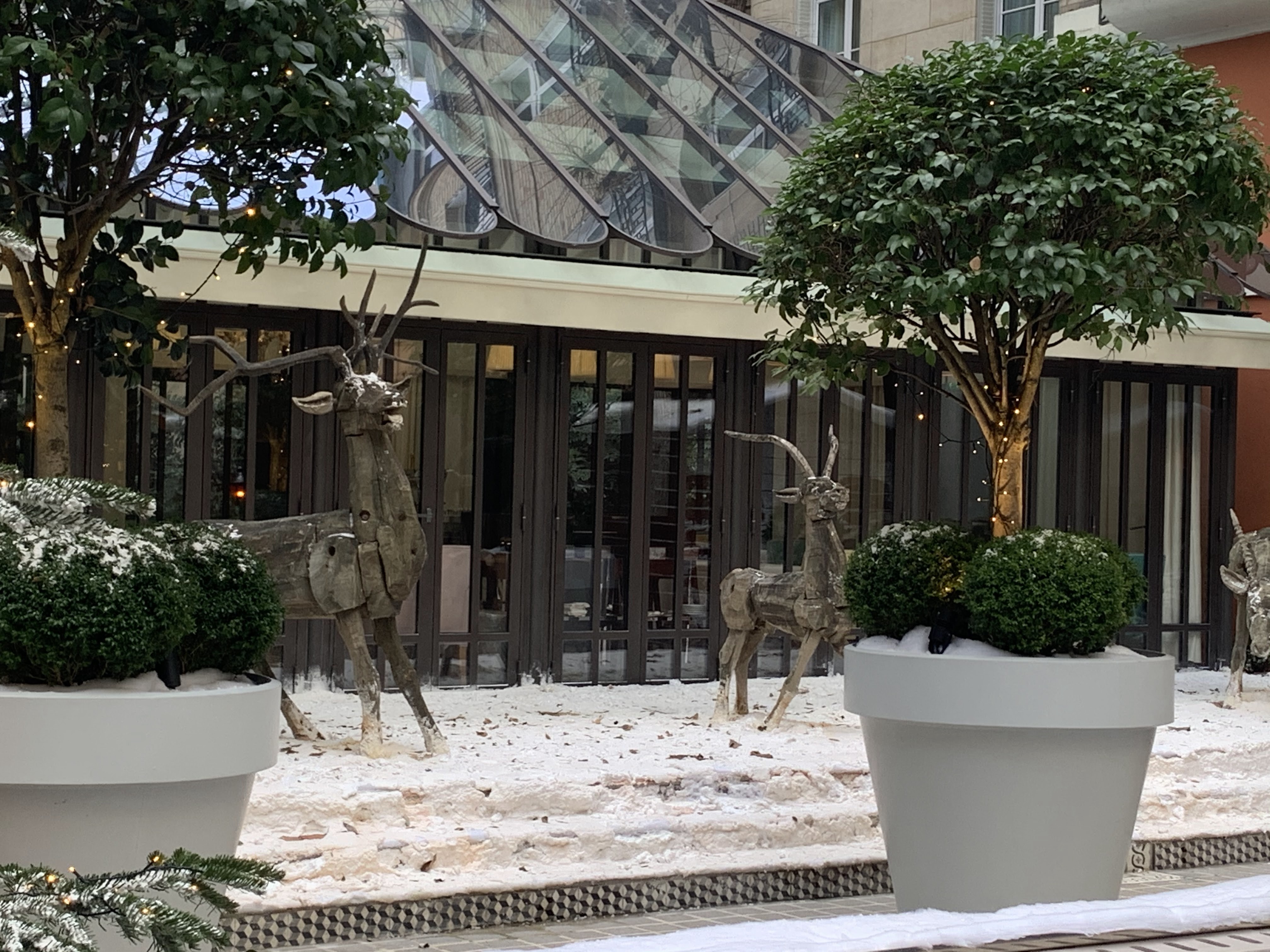 Photo n° 5 de l'avis de Valérie.T fait le 19/01/2020 à 19:13
