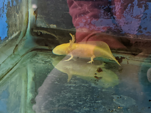 Pet Store «Fish 4 U», reviews and photos, 4010 Highland Dr #1, Millcreek, UT 84124, USA