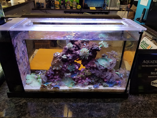 Tropical Fish Store «Aquatic Wildlife Co», reviews and photos, 70 Buckland Rd, South Windsor, CT 06074, USA