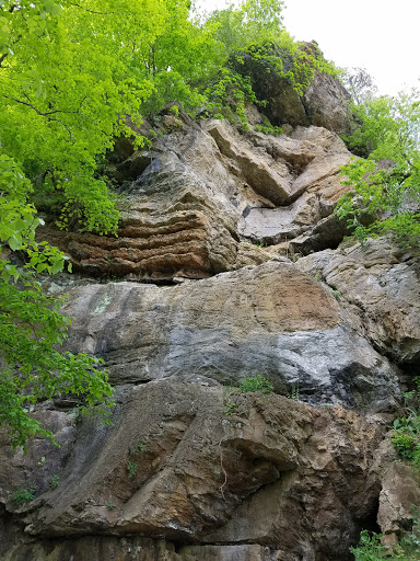 Nature Preserve «Shannondale Springs Wildlife Management Area», reviews and photos, Co Rte 9/5, Harpers Ferry, WV 25425, USA