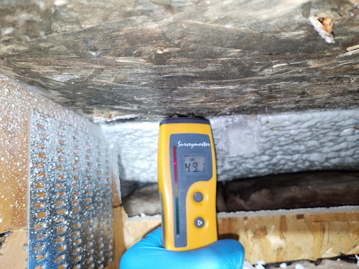 Home Inspector «Environix Testing & Remediation», reviews and photos