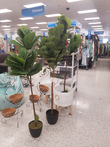 Clothing Store «Ross Dress for Less», reviews and photos, 3701 Truxel Rd, Sacramento, CA 95834, USA