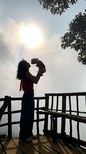 Top 20 cửa hàng ainosofia Huyện Mai Châu Hòa Bình 2022