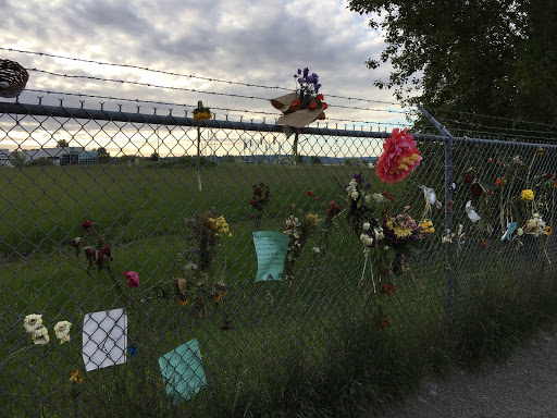 Tourist Attraction «A Sound Garden», reviews and photos, 7600 Sand Point Way NE, Seattle, WA 98115, USA