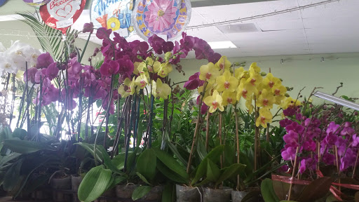 Florist «Garden Grove Florist», reviews and photos, 9710 Garden Grove Blvd # C, Garden Grove, CA 92844, USA