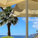 Photo n°2 de l'avis de Axel.i fait le 18/09/2022 à 15:42 sur le  Restaurante Fajã dos Padres à Quinta Grande