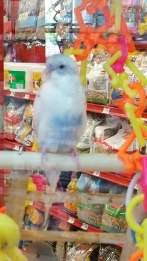 Pet Supply Store «Petco Animal Supplies», reviews and photos, 4012 W 27th Ave, Kennewick, WA 99337, USA