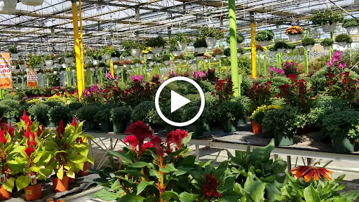 Florist «Dutch & Olgas Greenhouse», reviews and photos, 1285 NJ-36, Hazlet, NJ 07730, USA