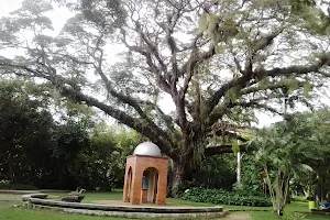 Naguanagua Botanical Garden image