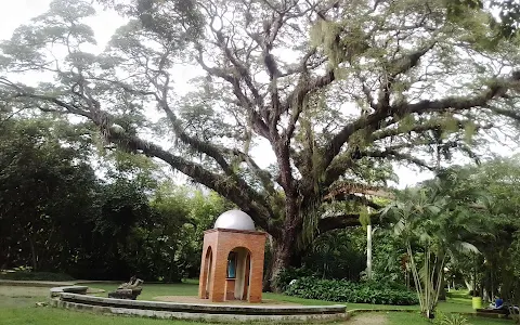 Naguanagua Botanical Garden image