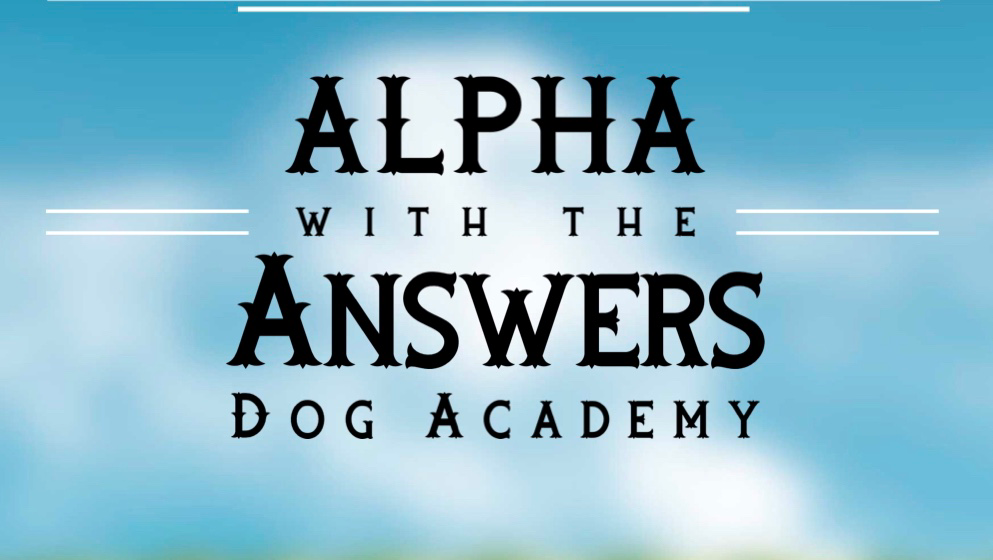 Alpha with the Answers Dog Academy