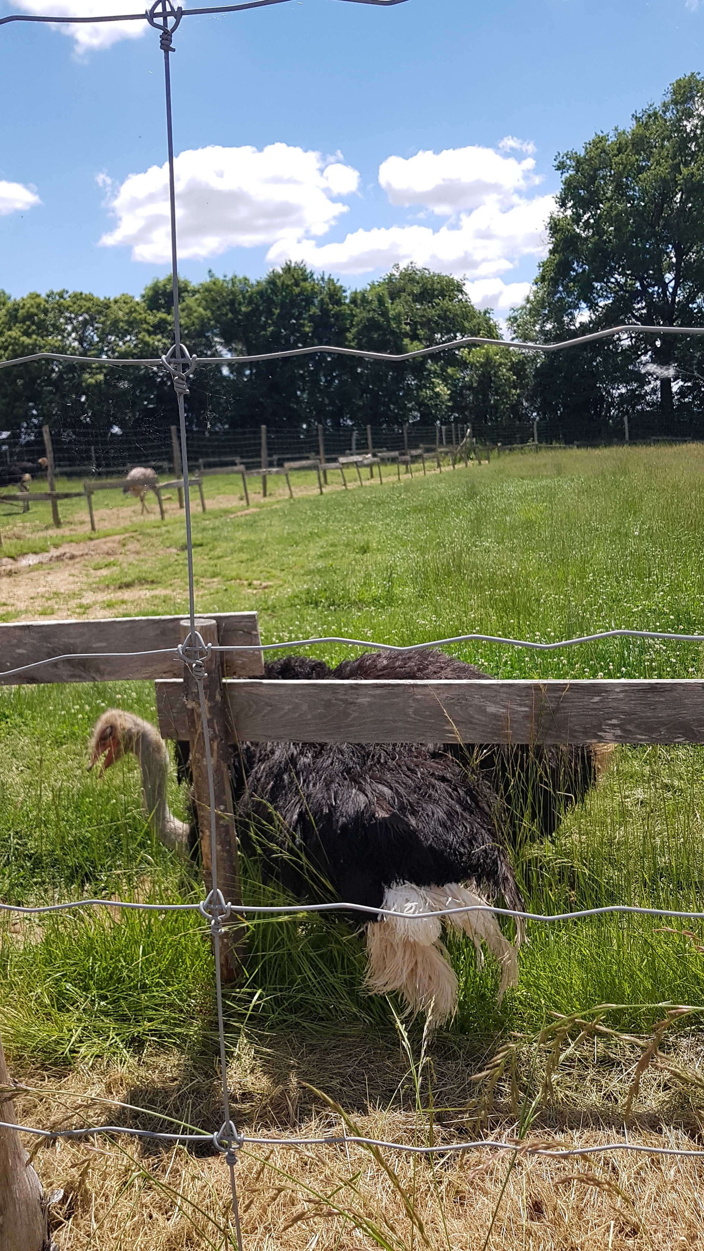 Photo n° 3 de l'avis de stephane.i fait le 05/06/2021 à 15:53