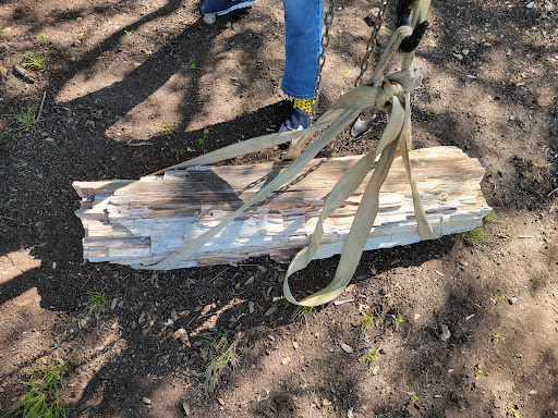 Gift Shop «Stone Hut Fossil Shop», reviews and photos, 1184 FM 205, Glen Rose, TX 76043, USA