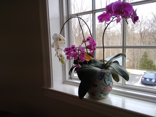 Heritage Museum «Hillwood Estate, Museum & Gardens», reviews and photos, 4155 Linnean Ave NW, Washington, DC 20008, USA