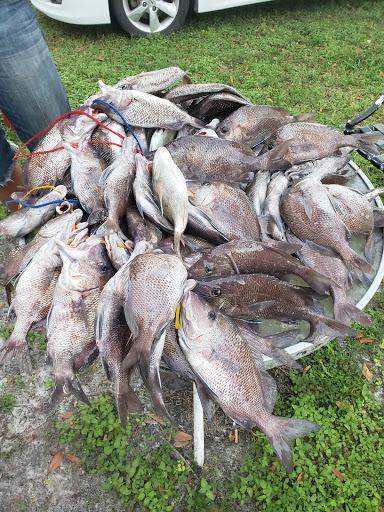 Fishing Charter «Miss Virginia Deep Sea Fishing», reviews and photos, 7847 Bayview St, Port Richey, FL 34668, USA