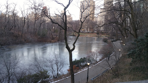 Performing Arts Theater «Radio City Music Hall», reviews and photos, 1260 6th Ave, New York, NY 10020, USA