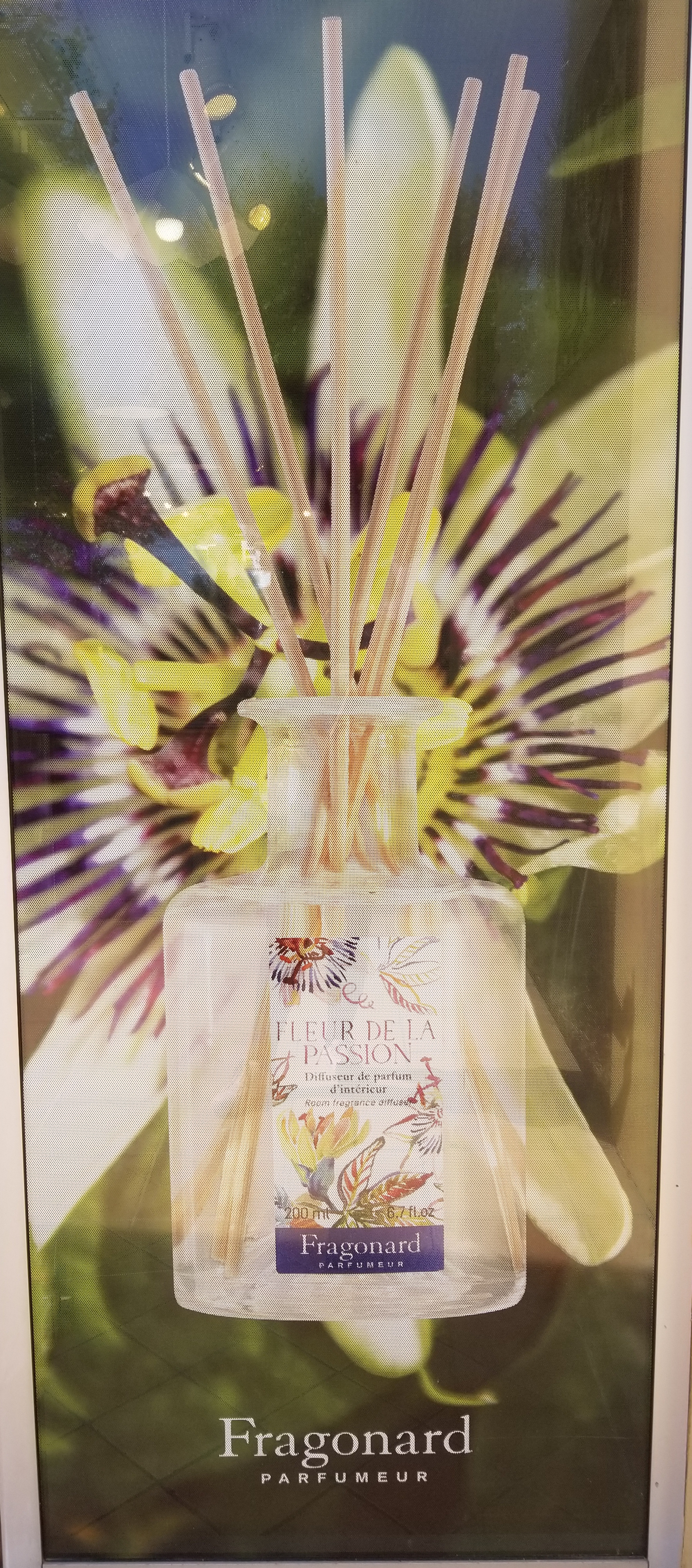 Photo n° 6 de l'avis de Laurence.a fait le 11/08/2021 à 20:31