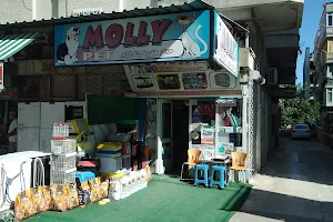 MOLLY PET SHOP image