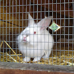 Photo n°1 de l'avis de Riccardo.a fait le 06/08/2021 à 18:13 sur le  Agritur Bontempelli à Pellizzano